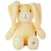 Hallmark Peek-a-boo Bunny Stuffed Animal With Sound And Motion, 7.5" -Hallmark Shop Peekaboo Bunny Stuffed Animal With Sound and Motion 75 root 1BBY4099 BBY4099 1470 1.jpg Source Image 1